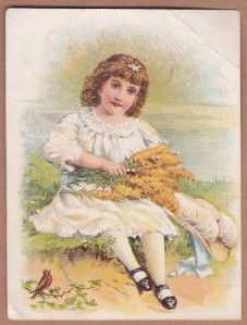 Victorian Trade Card Kenton Baking Powder Owl Brand Girl and Robin 