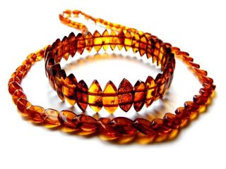   Beads Baltic Amber Necklace Snake Bracelet 100 Baltic Amber