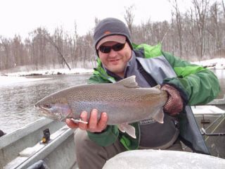 Guided Float Trip Au Sable River   Sage Fly Rods Provided   Steelhead 
