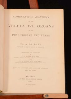   Anatomy of Phanerograms and Ferns de Bary Biology First Edition