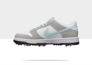 Nike Dunk NG Womens Golf Shoe 483907_100_D