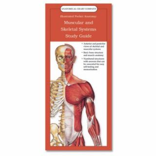 Muscular and Skeletal Systems Study Guide by Anatomical Chart Company 
