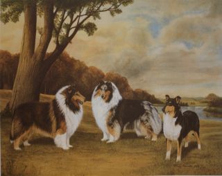   Limited Edition Collie Print Time of Glory by Cindy Alvarado