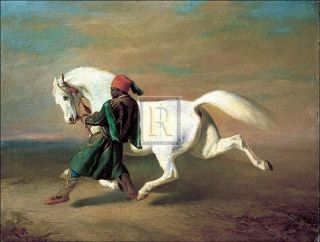 Alfred de Dreux The Pashas Pride Ethnic Man Horse