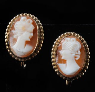Vintage 40s Amco 12K GF Gold Filled Cameo Earrings Real Carved Shell 