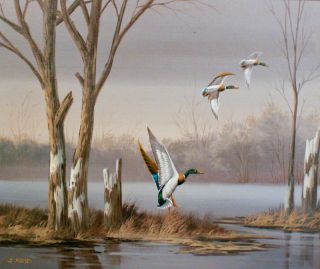 20c American Mallard Duck Landscape Signed Oil Painting