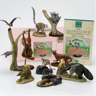   pictorial book realistic figure box WILD ANIMALS vol 1 Colorata JAPAN
