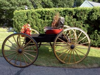 Antique Horse Drawn Doctors Buggy Carriage