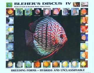 Aquarium Fish Posters Your Choice 20 Out of 64 Koi Arowana Discus 