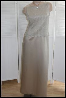 arianna by rachel kaye new formal dress metallic 6