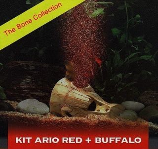 Buffalo Skull Submersible Aquarium Decor Air Pump Kit w 4 Red LED 