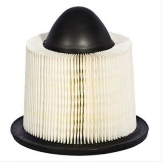 FA1632 Air Filter Element, Conical, Paper, White, Ford, Passenger Car 