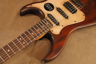 AXL Badwater SRO Electric Guitar Premium Soft Case w Bin