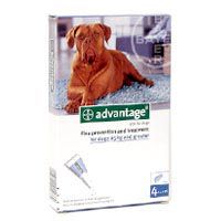 Bayer Advantage Flea Control XL Dog 1 Month Supply