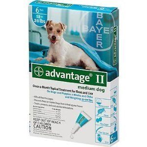 Bayer Advantage II 6 Month Flea Control for Dogs 11 20 854000004335 