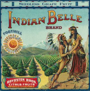 brand indian belle variation type orange origin porterville ca circa 