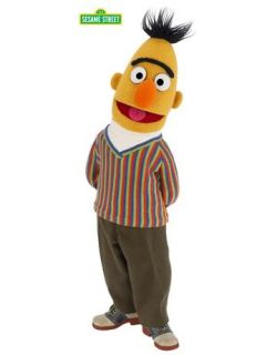 SEEN BELOW IS BEFORE AND AFTER BERT AND ERNIE. YOU ONLY GET THE ONE 