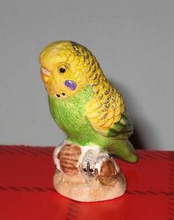 Collectibles  Animals  Birds  Parakeets & Budgerigars