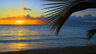 Relaxing Video HD Hawaii Beaches 1 Waves Blu Ray w Nature Ocean 