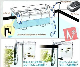   divider tank for fish breeding shrimps fry hatchery tank betta trap