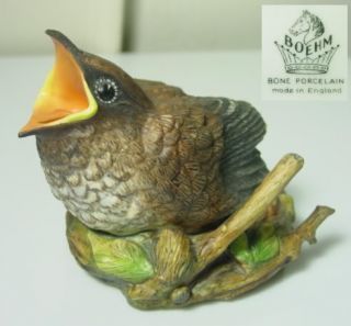 Boehm Porcelain Baby Fledgling Cuckoo Bird Figurine