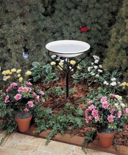   precision bird bath is loaded with features that will bring birds