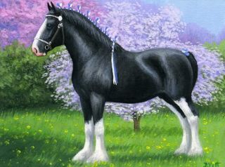 Black Shire Horse Spring Limited Edition ACEO Print Art