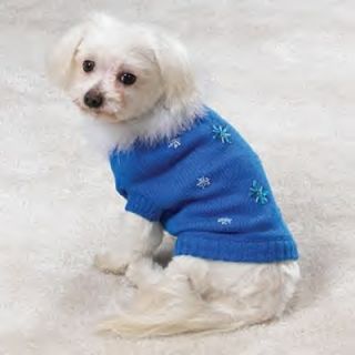 XSM Blue Bijou Dog Sweater with removable feather Collar Chihuahua 