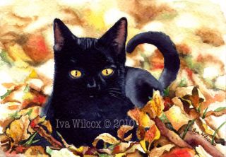 Ehag Original Halloween Black Cat 5x7 Watercolor Pfatt