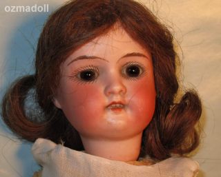 Floradora 11 Antique Bisque Head Dolls,Compo Bodies,Boy & Girl