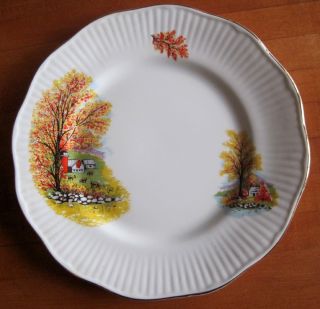Vintage English Bone China Autumn Set Four Luncheon Salad Plates 