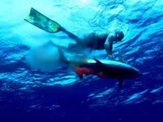 Spierre Freediving Fins Kelp Camouflage