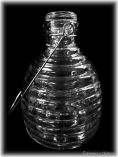   Ribbed Glass Bee Wasp Catcher Art Pocket Bottle Hornet Trap