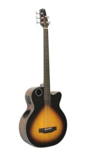 Boulder Creek EBR1 TB5FE Acoustic/Electric 5 String Fretless Bass