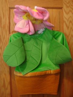 Brandi Size 2T 3T 4T Potted Plant/Flower Costume