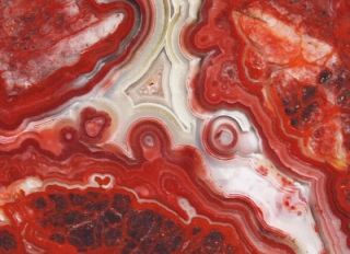Slab Mexican Crazy Lace Agate Beautiful Colors Pattern