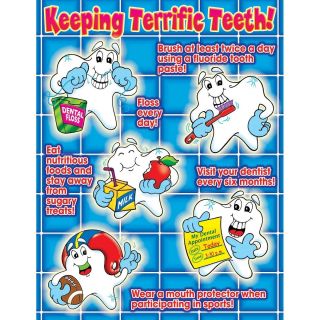 KEEPING TERRIFIC TEETH Dental Dentist Brushing Hygiene Chart Poster 