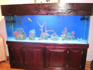 150 Gallon Saltwater Drilled Aquarium with Wet/Dry Filter & much more 