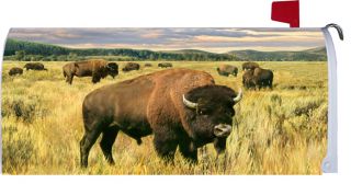   MAILBOX COVER Prairie Grazing Bison Buffalo Magnetic MAILBOX COVER