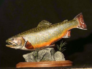 18  Brook Trout Pedistal Mount Fish Mount Fish Replica Fish Taxidermy 