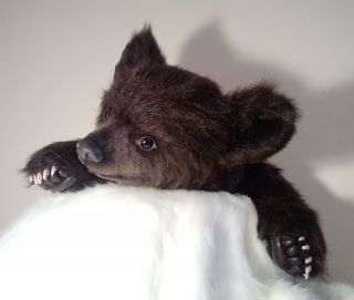 Realistic OOAK (25.5) artist Brown Bear Cub Jeremy by OsoMIMosO
