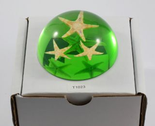 real starfish dome paperweight clear green time left