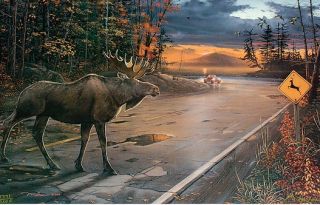 free ervin molnar s n print deer crossing with moose