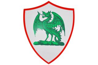   Wyvern Dragon Medieval Knight Mini Shield Buckler Brand New