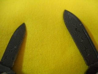 case xx new 6053 stag damascus baby butterbean knife search