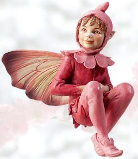   New CICELY MARY BARKER Flower Fairy Ornament RED CAMPION Fairie Figure