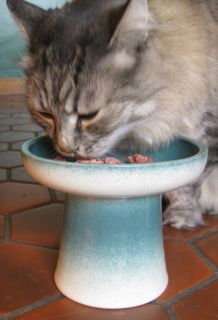Raised Pottery Cat Feline Wet Food Dish Bowl Teal Green Reduces 