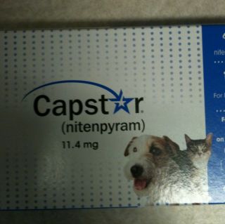 Novartis Capstar Blue for Dogs Under 25 Pounds 6pk
