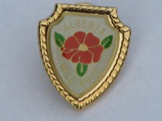 Alberta Wild Rose Metal Lapel Pin Canada Provincial Flowers Souvenir 