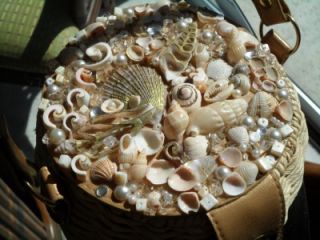 Genuine Cappelli Straworld Bag Seashell Decorated Top